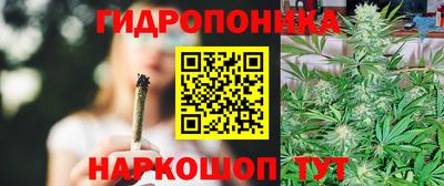 стаф Балахна
