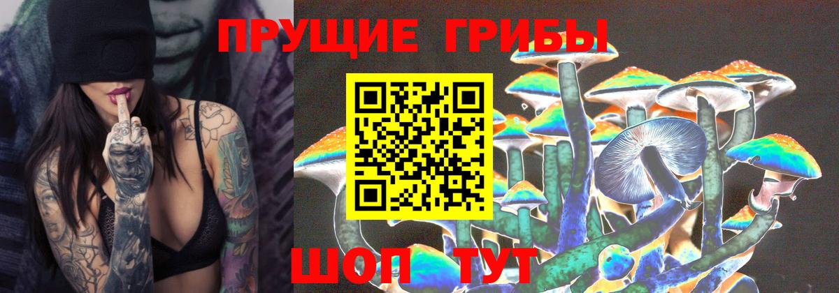 Псилоцибиновые грибы Cubensis  Вход с VPN  закладки  Воскресенск 